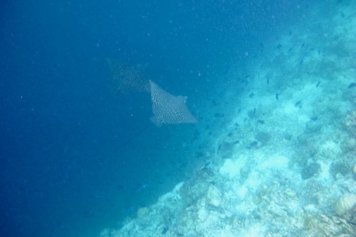 e0387424_17555814.jpg