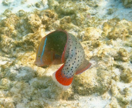 e0387424_17555905.jpg