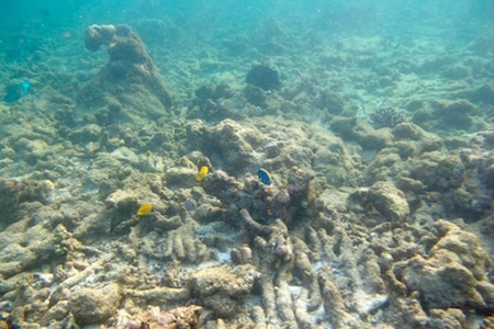 e0387424_17555929.jpg