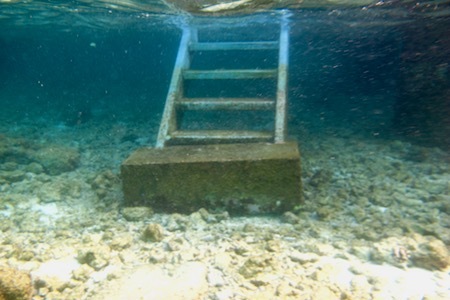 e0387424_17555938.jpg