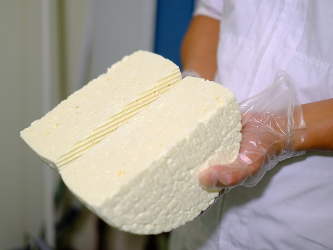 「チーズ工房見学　最高賞受賞チーズを生み出したアトリエ・ド・フロマージュ」_a0000029_11341105.jpg