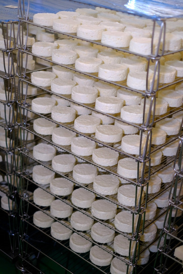 「チーズ工房見学　最高賞受賞チーズを生み出したアトリエ・ド・フロマージュ」_a0000029_11485370.jpg