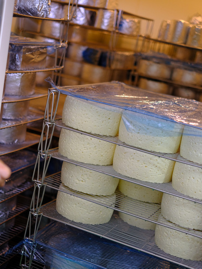 「チーズ工房見学　最高賞受賞チーズを生み出したアトリエ・ド・フロマージュ」_a0000029_11545297.jpg