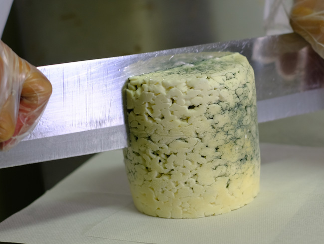 「チーズ工房見学　最高賞受賞チーズを生み出したアトリエ・ド・フロマージュ」_a0000029_11565521.jpg