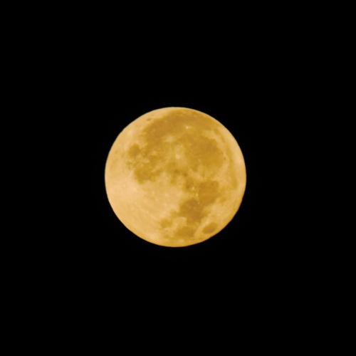e0321032_19572330.jpg