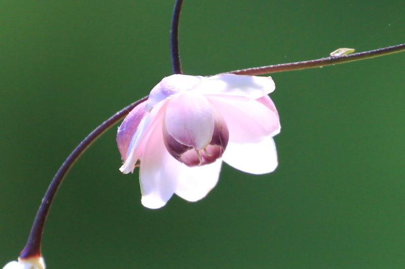 f0229832_08221547.jpg