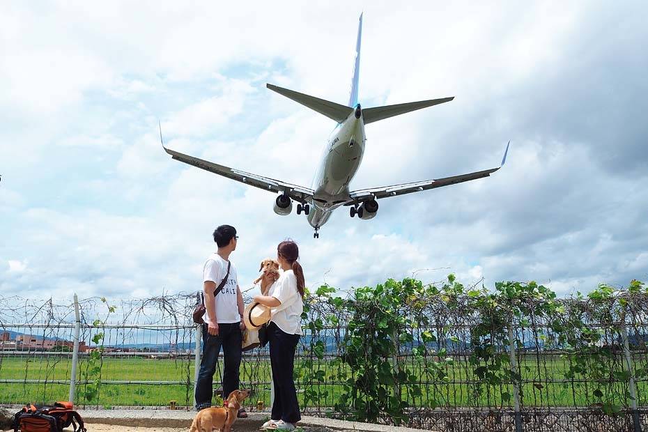 伊丹空港（大阪国際空港）にて　②_c0067040_21592713.jpg