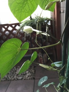 e0067640_21180929.jpg