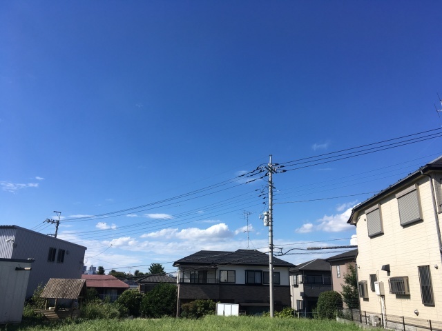 a0220446_18144275.jpeg