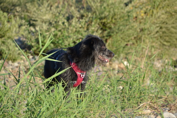 e0341849_20181071.jpg