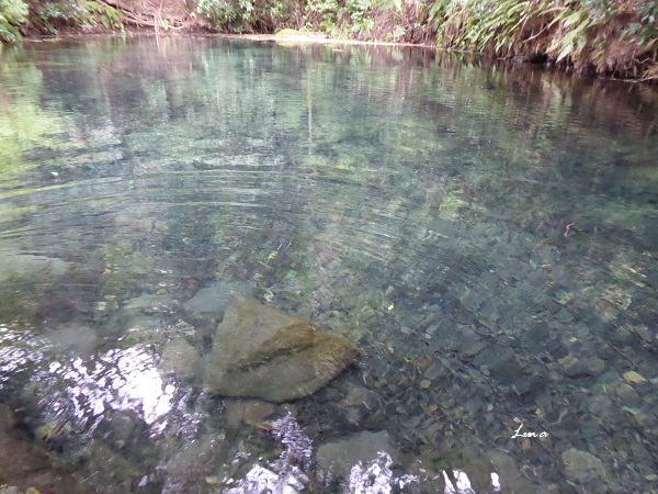 c0222861_21293789.jpg