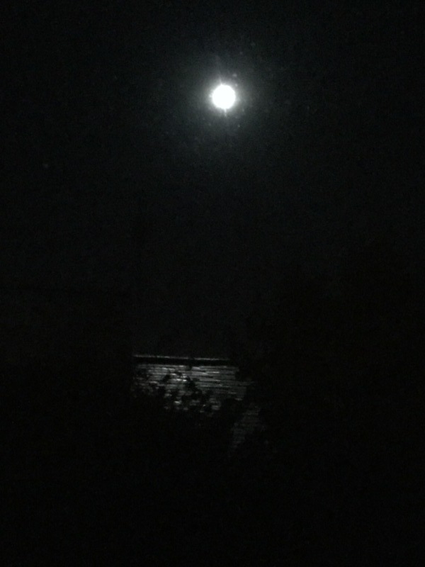 d0320463_02012476.jpeg