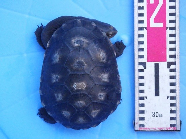 c0105569_01440883.jpg
