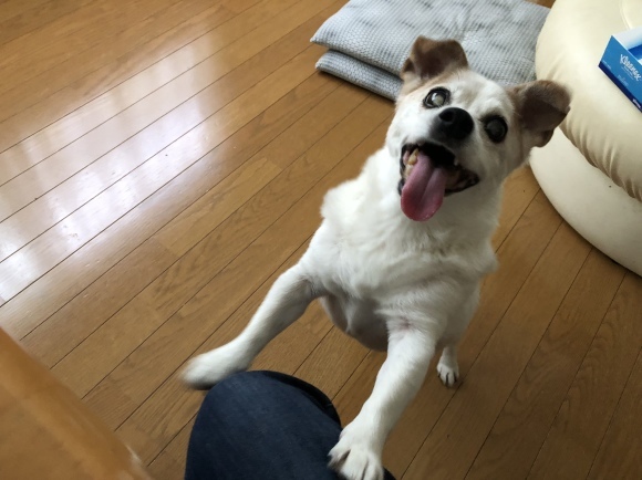 e0106372_13282179.jpeg