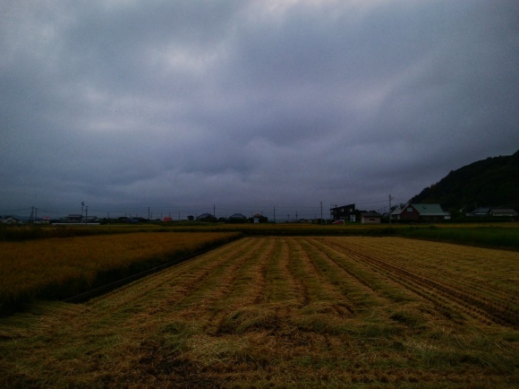 f0376072_21524072.jpeg