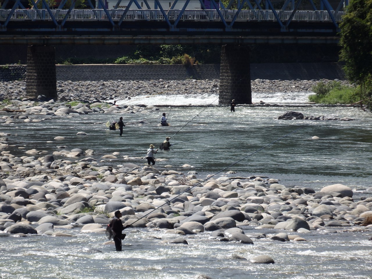 『郡上八幡　夏の川風景～』_d0054276_20415056.jpg