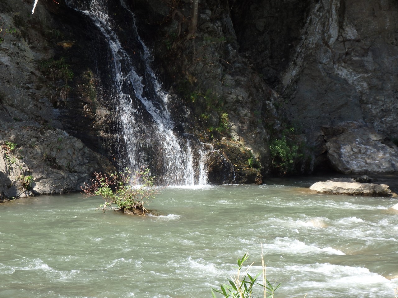 『郡上八幡　夏の川風景～』_d0054276_20452931.jpg