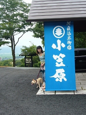 d0048577_23010162.jpeg