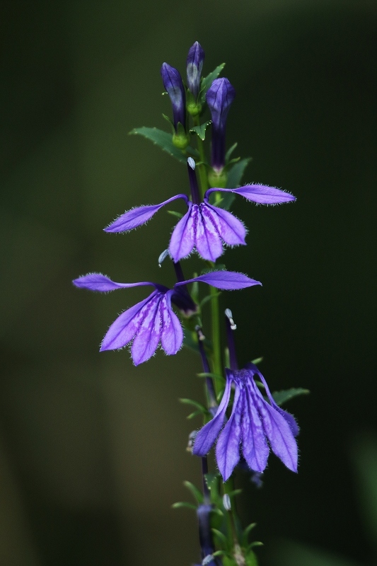 e0091879_23465811.jpg