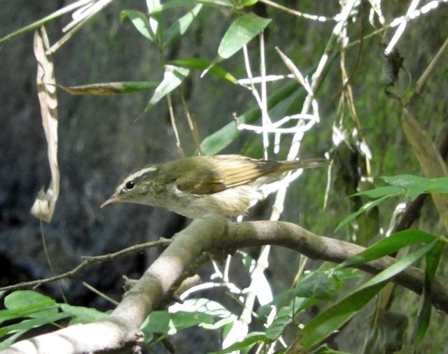 f0378979_18230128.jpg