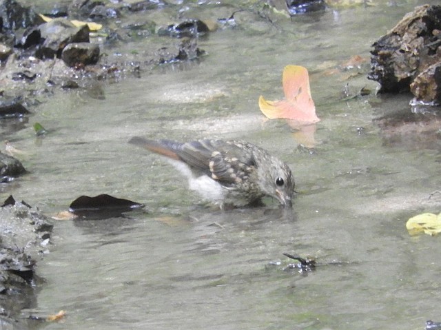 f0378979_18375169.jpg