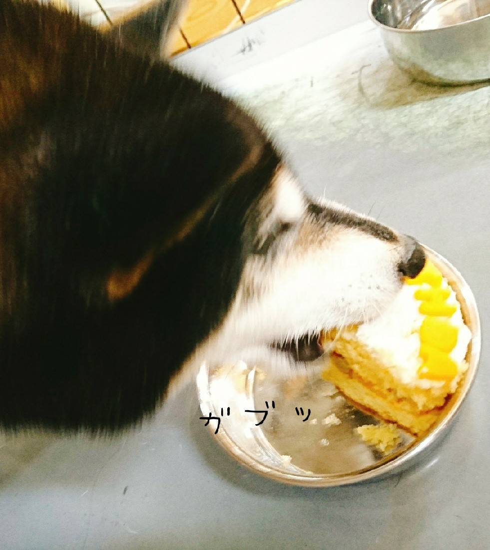 バースデーケーキ🎂_f0357682_23451228.jpg