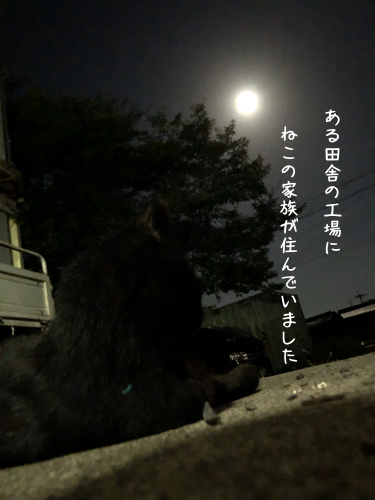 a0216583_15412638.png