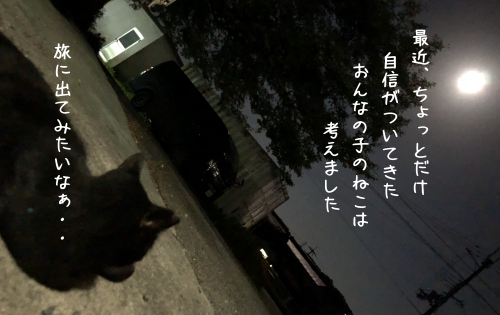 a0216583_15413233.png