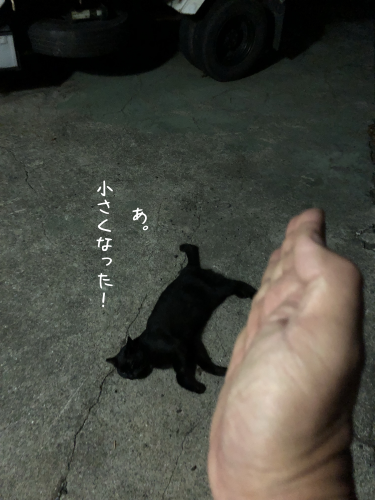 a0216583_15414155.png