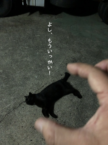 a0216583_15414956.png