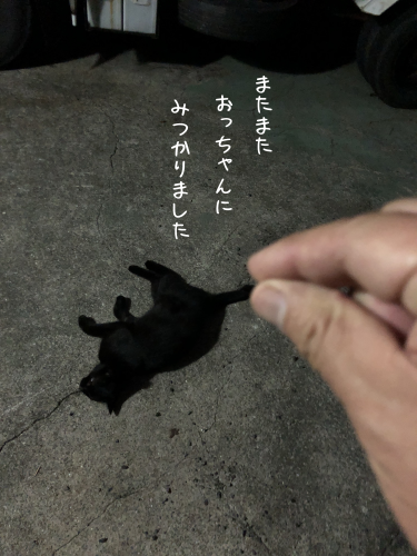 a0216583_15415302.png