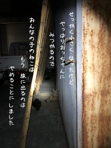 a0216583_16214989.png