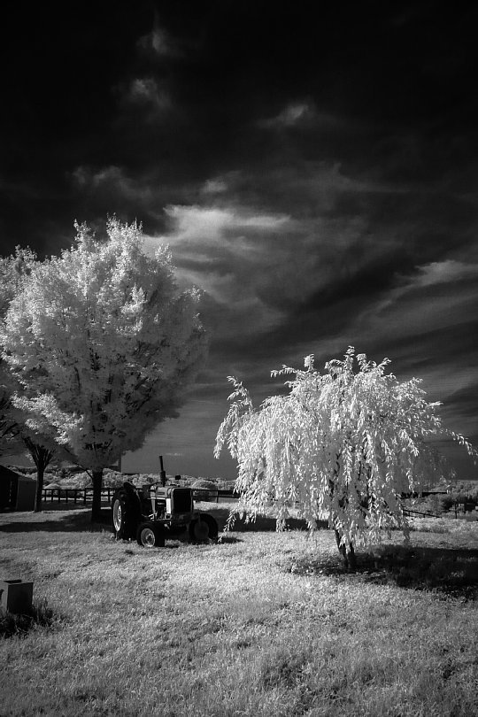 A Summer Farm Filled With Scorching Sunshine_d0353489_20570019.jpg