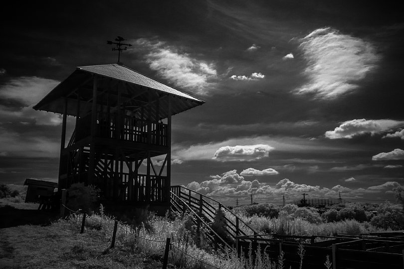 A Summer Farm Filled With Scorching Sunshine_d0353489_20584439.jpg