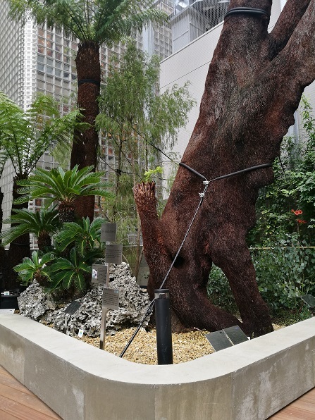 f0391490_01125016.jpg