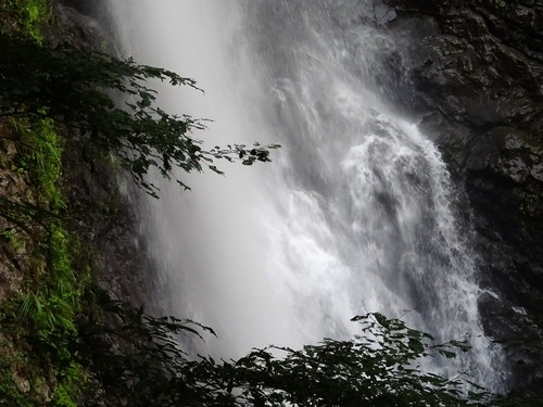 d0212491_184294.jpg