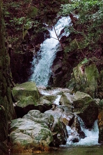 e0176993_10394425.jpg