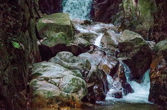 e0176993_10394527.jpg
