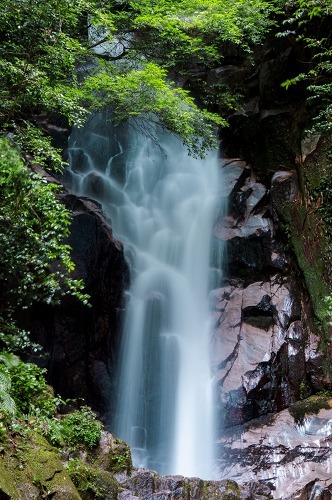 e0176993_10400062.jpg