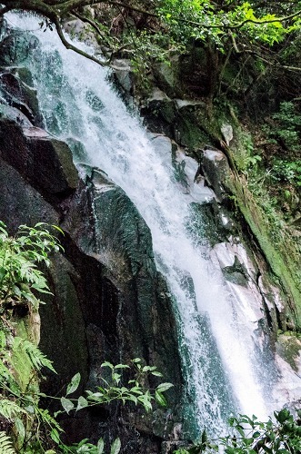 e0176993_10400081.jpg