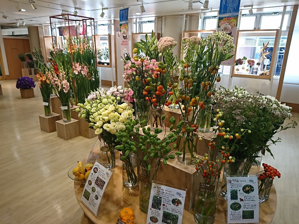 秋商材展示 Inなにわ花いちばさま Ja上伊那花き部会 最新ニュース