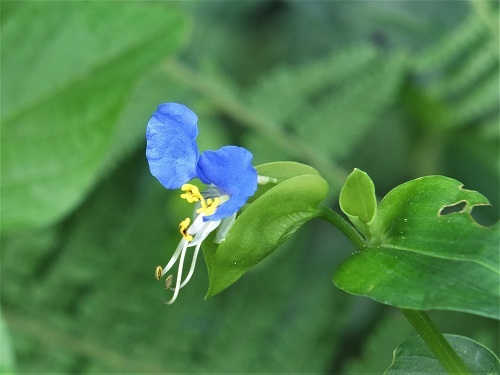 e0360409_15503890.jpg