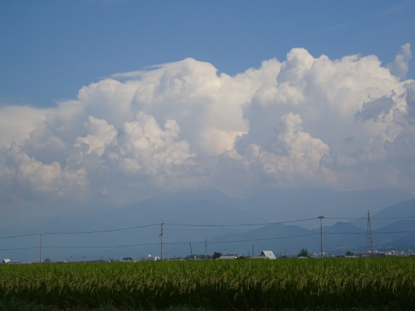 f0231709_18082794.jpg