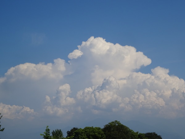 f0231709_18093747.jpg
