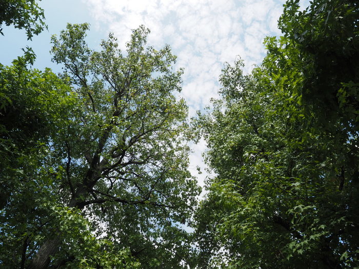 佐伯区民文化センター&五日市中央公園_c0116915_23593062.jpg