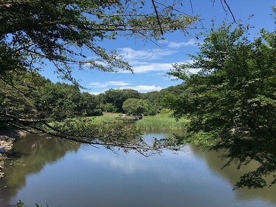 e0373815_13375021.jpg