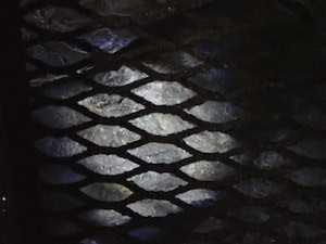 d0106518_19594136.jpg