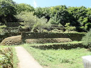 d0106518_20011376.jpg