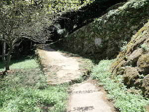 d0106518_20012281.jpg