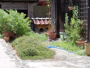 d0106518_20024242.jpg